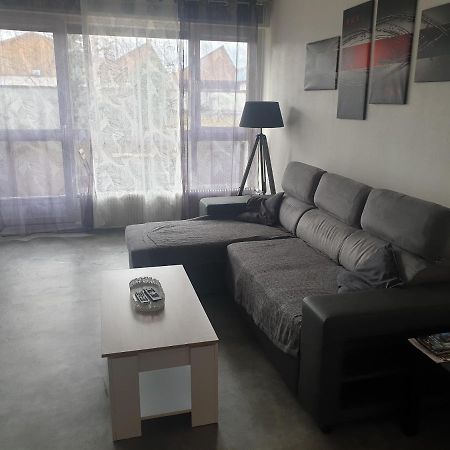 Mulhouse,Grand Appart Cosy&Lumineux, 78M2 , Pour 5 Personnes Esterno foto