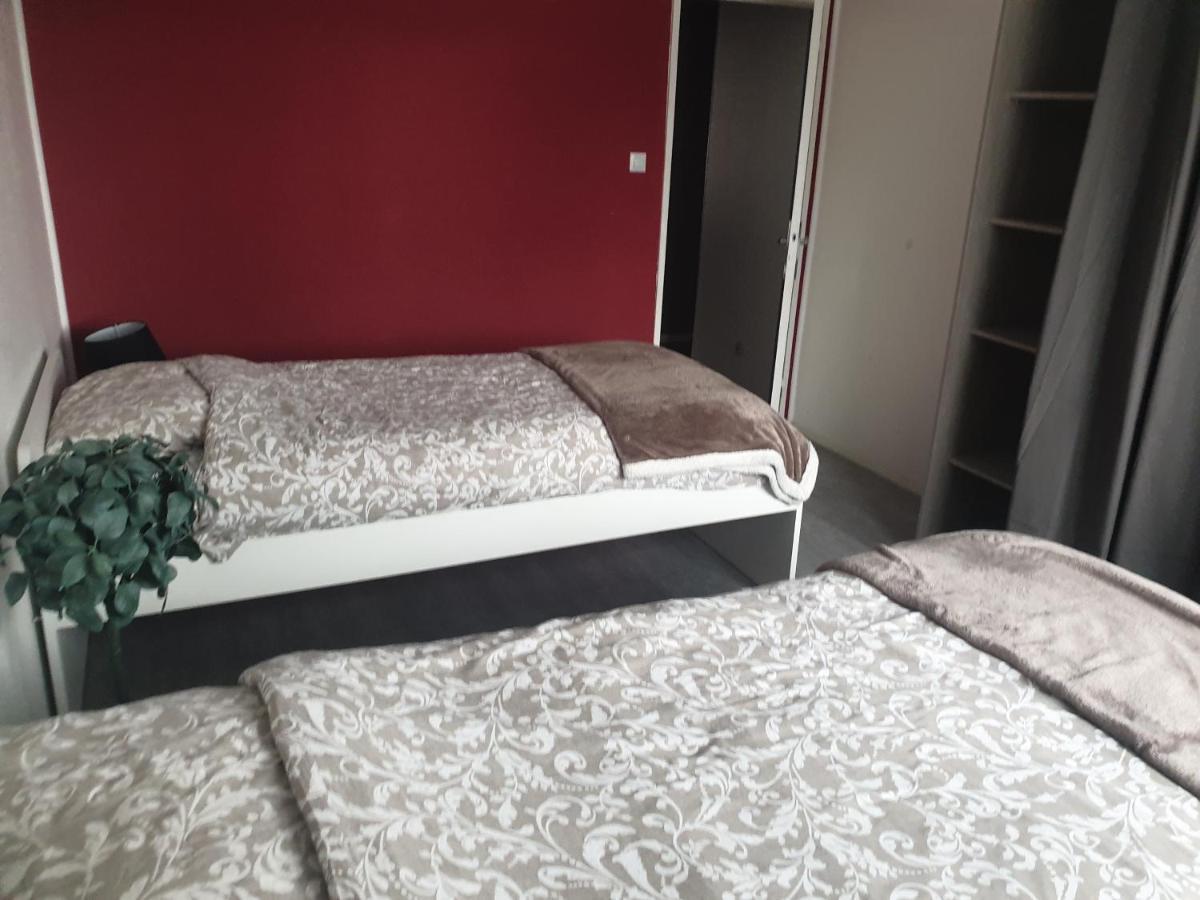 Mulhouse,Grand Appart Cosy&Lumineux, 78M2 , Pour 5 Personnes Esterno foto